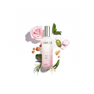 Mountain fox - Vector graphics